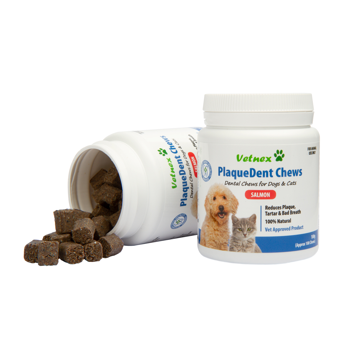 Vetnex Launched Vet-Only Dental Care Range - PlaqueDent Chews & Powders